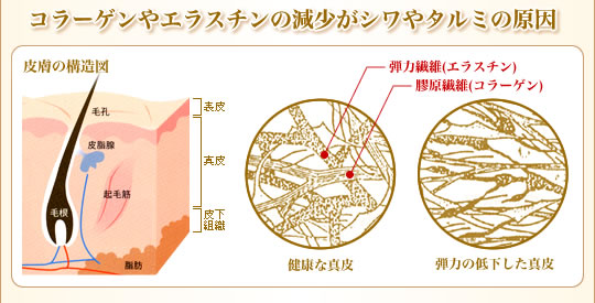 顼䥨饹θ䥿ߤθ